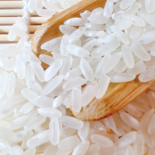 正宗五常大米当季新米10斤东北长粒香稻花香口感GB/T19266