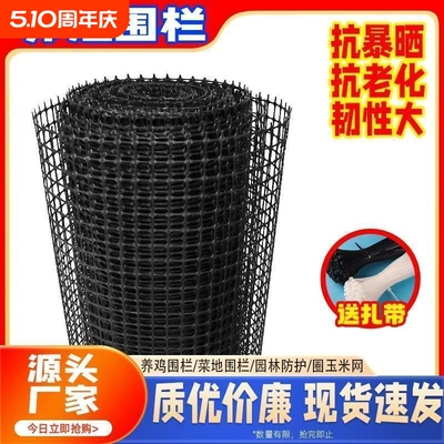 隔离网种鸡拦鸡网养殖网围栏
