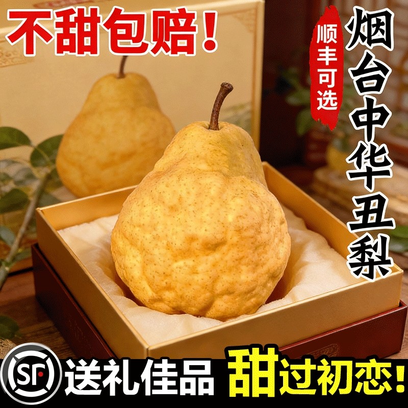 烟台中华丑梨9斤新鲜水果脆山东莱阳佛手太婆大头梨当季梨子整箱,水产肉类/新鲜蔬果/熟食,梨,淘宝优惠券,粉丝福利购,淘宝优惠卷