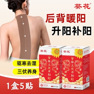 葵花督脉升阳贴龙骨凤脉艾灸贴脾胃热敷暖背去寒暖阳温灸贴