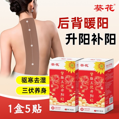 葵花三伏升阳龙骨督脉贴艾炙祛湿