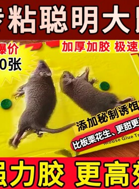 老鼠粘强力粘鼠板抓鼠灭鼠捕鼠神器超强家用一窝端仓库家用捕鼠