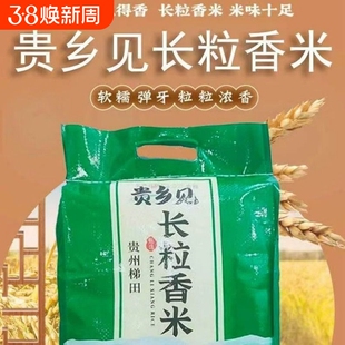 贵州梯田长粒香米优质谷种农家大米生态不抛光贵乡见长米饭软糯