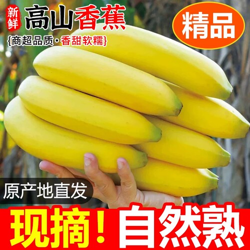高山青皮甜香蕉新鲜水果自然熟无添加当季现摘现发绿蕉绿色香甜糯
