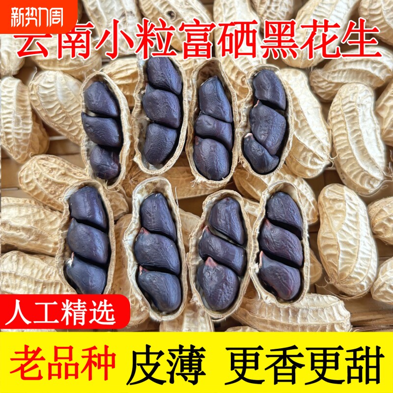 新货云南黑花生富硒黑皮花生带壳晒干黑花生米紫皮原味老品种新鲜