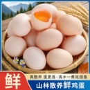 农家谷物新鲜鸡蛋正宗散养柴鸡蛋10枚起笨鸡蛋土鸡蛋月子蛋珍珠