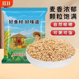 燕麦米东北农家自产粗粮早餐粥饭商用批发新米生燕麦仁五谷杂粮