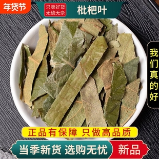甄选枇杷叶干货正品新货枇杷叶干货生枇杷叶新货枇杷叶煮水泡茶