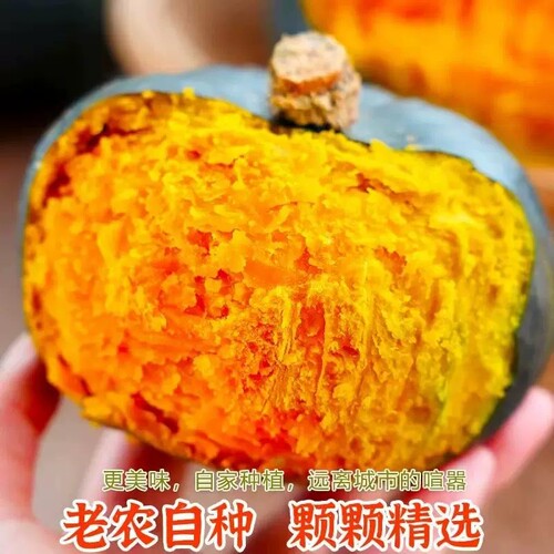 贝贝南瓜新鲜粉面香甜