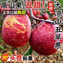 四川大凉山丑苹果新鲜水果当季 现摘盐源冰糖心苹果红富士产地直发