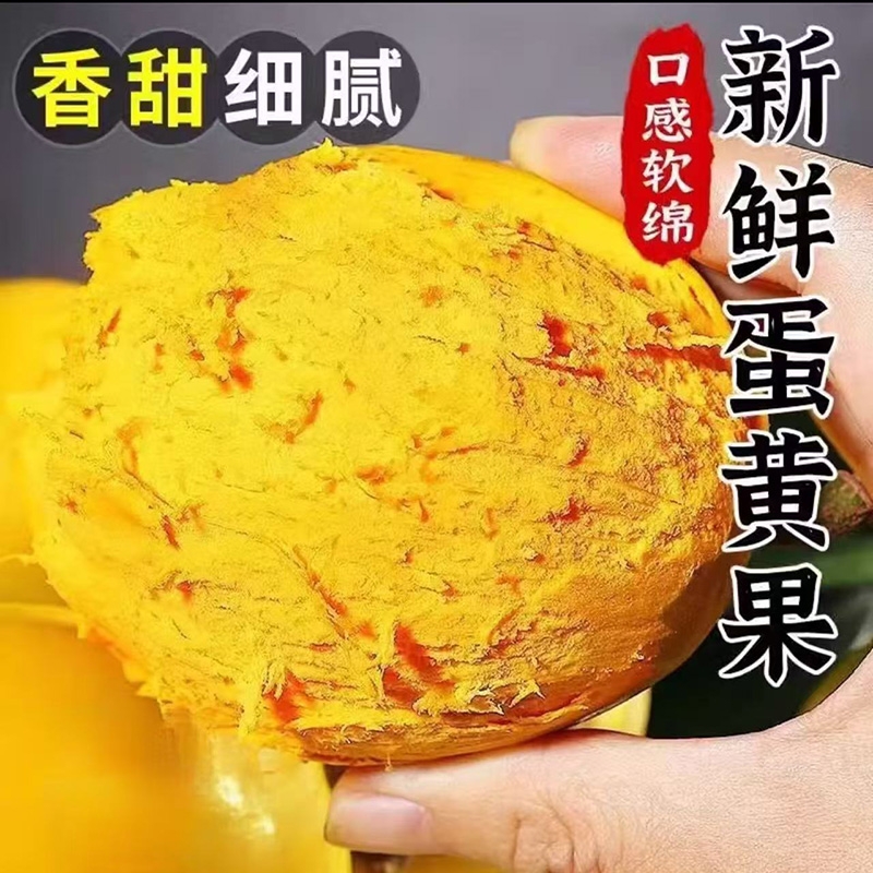 糯香鸡蛋果稀有蛋黄果水果新鲜当季现货直发