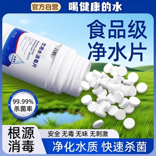 饮用水净水片官方旗舰店专用户外野外生存消毒水井食用级二氧化氯
