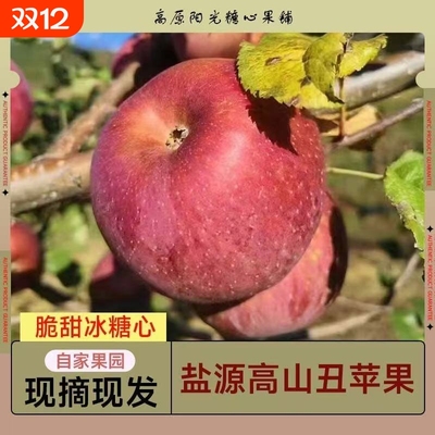 2025年正宗大凉山盐源丑苹果新鲜水果现摘现发新果脆甜果园生鲜
