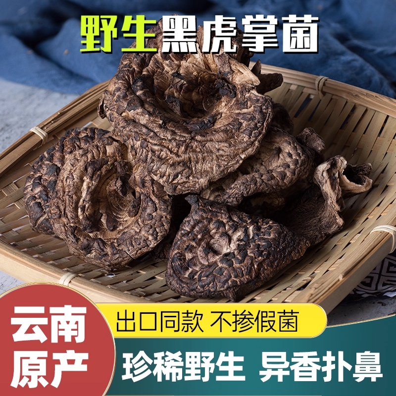 云南虎掌菌年货特产大礼包精选新货野生菌菇50g