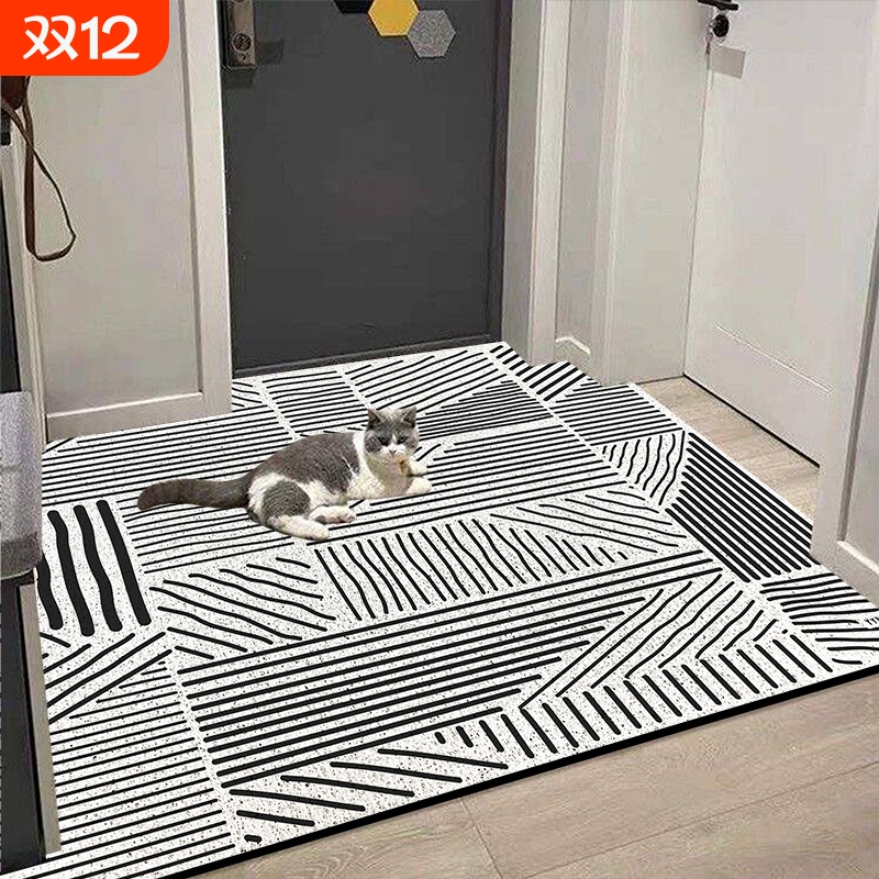 防滑丝圈入户地垫轻奢高级感耐脏