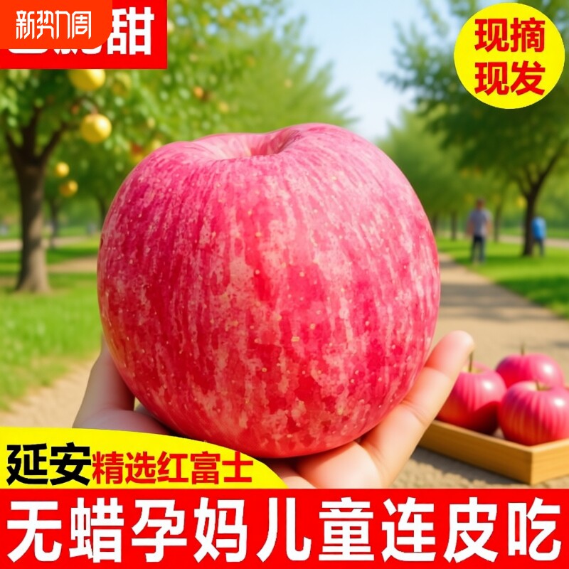 正宗陕西延安洛川苹果新鲜水果当季红富士非冰糖心整箱脆甜包邮