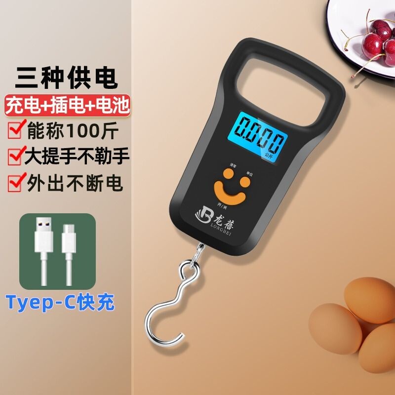 龙蓓迷你手提电子秤50kg便携式高精度家用快递称小秤弹簧小型手拿