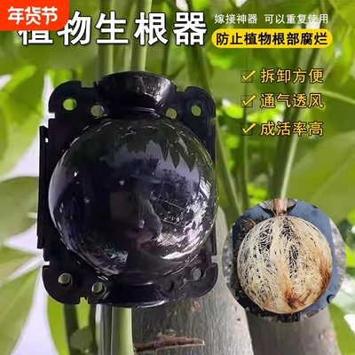植物高压嫁接盒繁殖控根器扦插高压包生根盒枝繁殖球生根繁殖器
