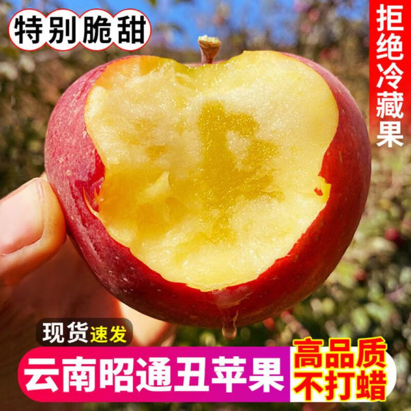云南昭通冰糖心丑苹果现摘现发邵通新鲜水果脆甜当季