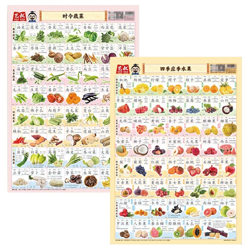 幼小衔接认识知识挂图时令蔬菜 认识动物 认识花卉 四季应季水果 认识生活常见标识 认识交通运输工具 认识世界各国的国旗幼儿早教