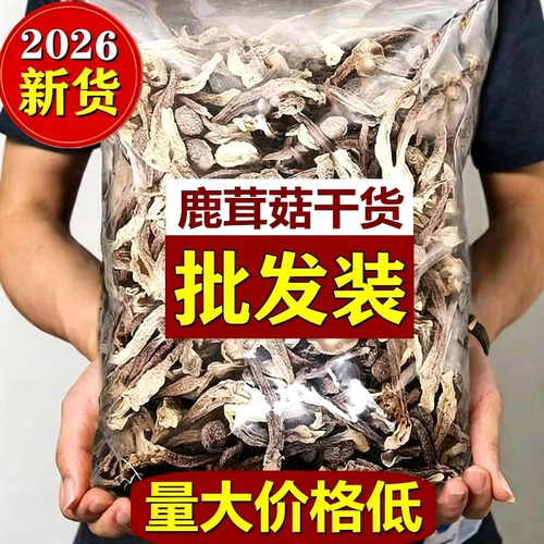 5A精品鹿茸菇干货特级500g鹿茸菌特产级香菇蘑菇莆田菇送礼食材