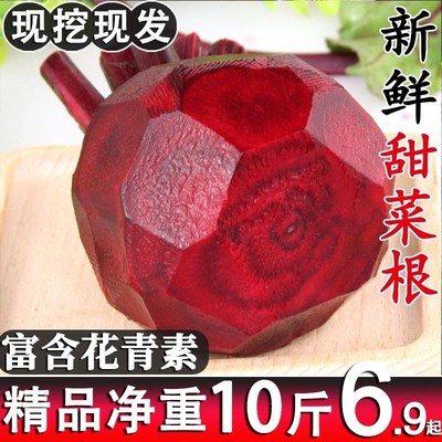 2024新鲜甜菜根农家自种现挖菜头