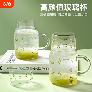 高硼硅绝美玻璃泡茶杯带盖杯子家用大容量喝水杯咖啡牛奶杯凉水壶
