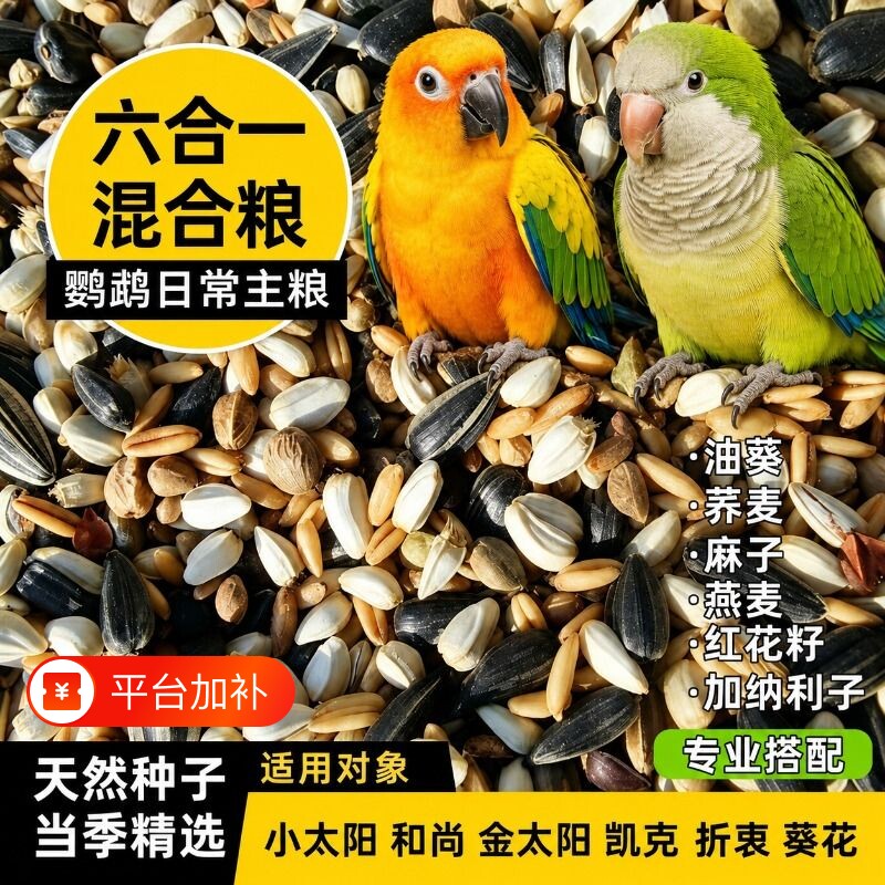 小太阳鸟粮专用和尚鸟饲料麻子鸟食种子粮混合粮粮食八哥荞麦燕麦