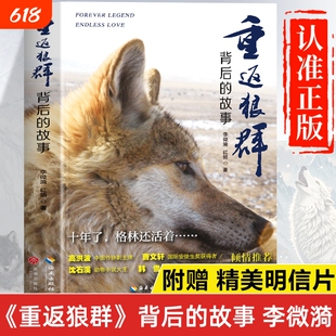 重返狼群正版书籍李微漪 重返狼群背后的故事 让我陪你重返狼群 海南出版社天地出版社 重返狼群原著精装版珍藏版