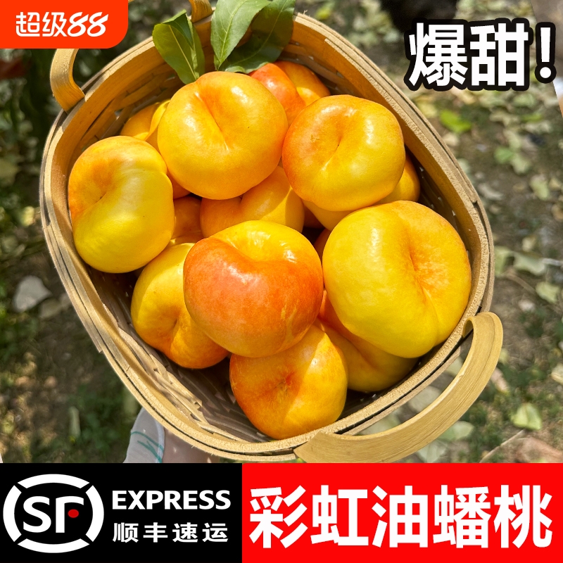 彩虹油蟠桃新鲜水果黄金整箱当季蟠桃蒙阴蜜桃黄蟠桃黄心油桃扁桃