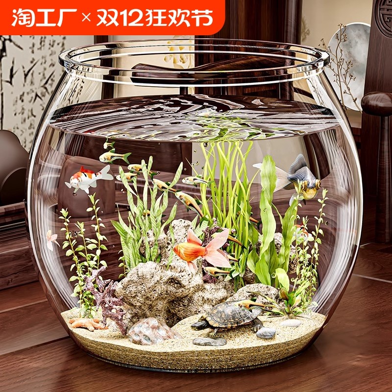 �ۻ��㣺Բ��С�������һ����ͷ²�������С��������̬�׽���װ칫��