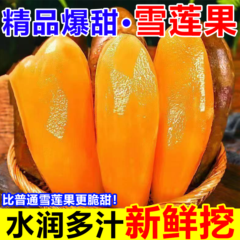 云南天山雪莲果新鲜水果当季现挖脆甜红心黄心雪连果孕妇水果