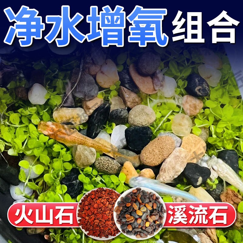 天然火山石溪流石套餐铺底颗粒专用缸天然底砂造景装饰原生水族鱼