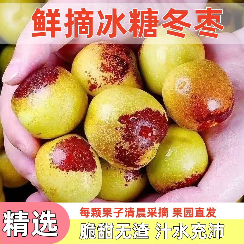 正宗冬枣脆甜新鲜大果应季整箱枣子现摘脆枣冰糖大枣5斤当季水果