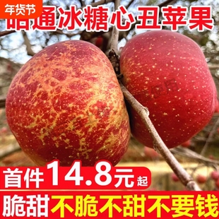 顺丰包邮云南昭通冰糖心丑苹果新鲜当季现摘红富士水果整箱10斤
