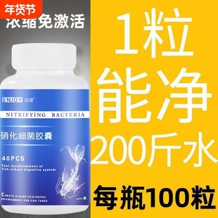 硝化细菌鱼缸用水族箱硝化菌胶囊消化干粉龙鱼专用活菌锦鲤净水剂