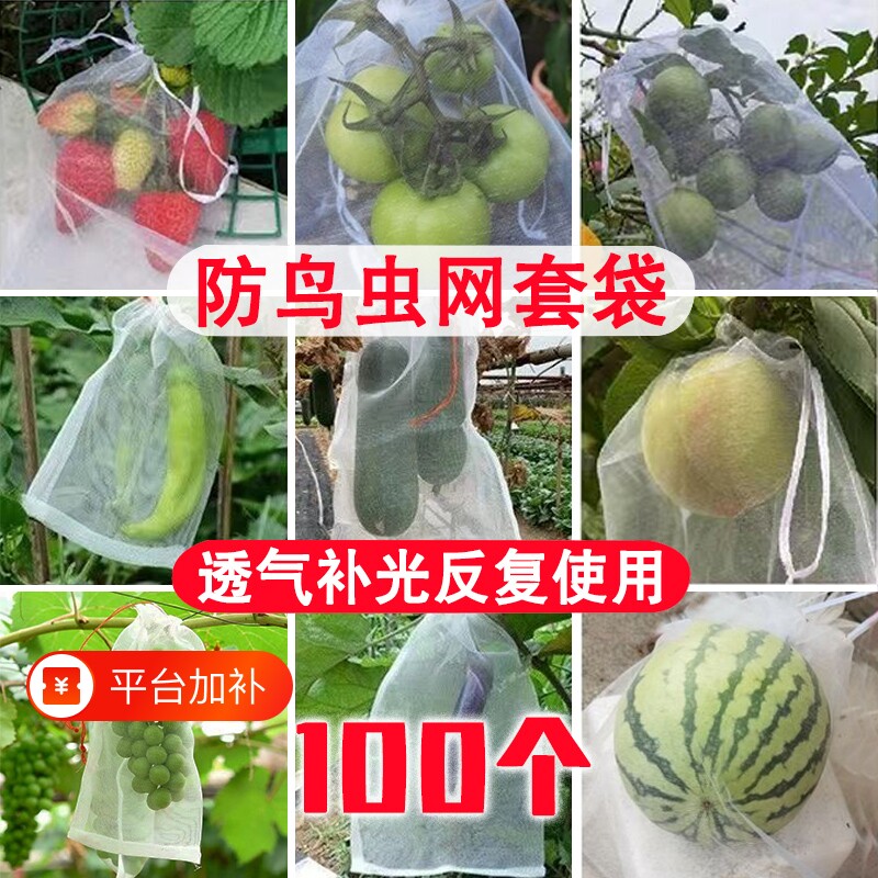 水果套袋草莓防虫保护袋防鸟网纱袋专用袋葡萄石榴柿子西瓜无花果