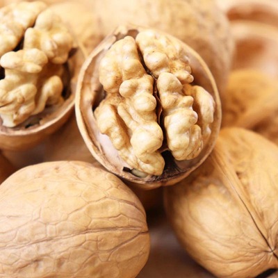 新疆阿克苏纸皮核桃2025新核桃原味185薄皮生核桃无添加孕妇儿童