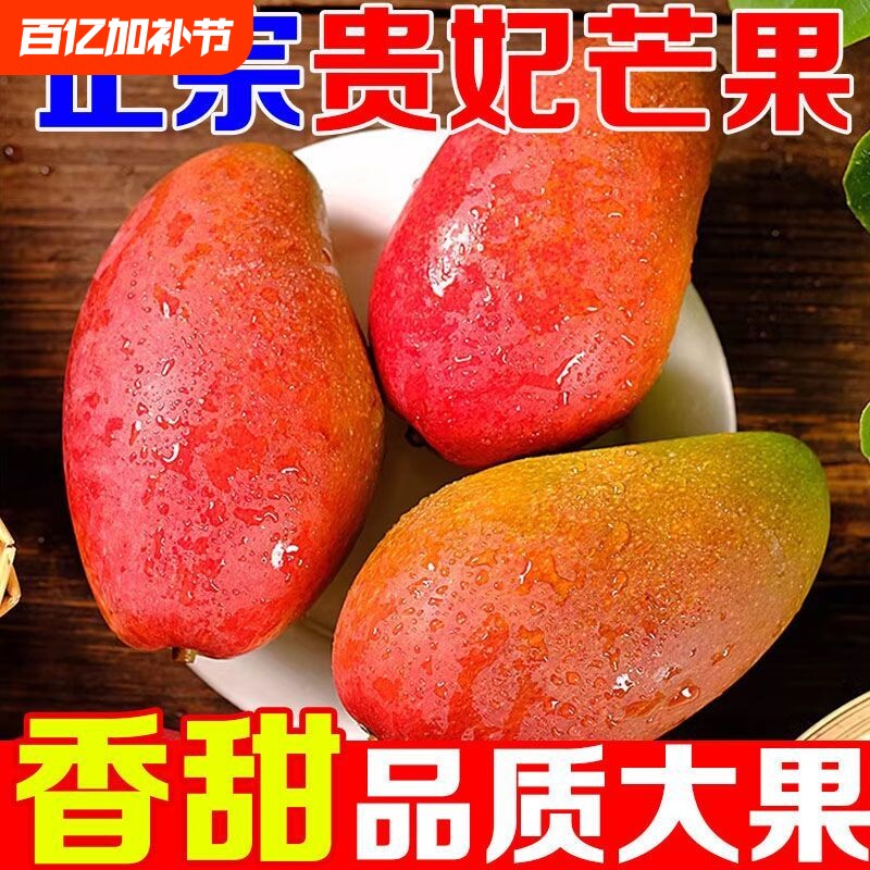 海南贵妃芒5斤树上熟芒果三亚特产当季新鲜水果自然熟特大果现摘