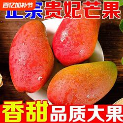 海南贵妃芒5斤树上熟芒果三亚特产当季新鲜水果自然熟特大果现摘