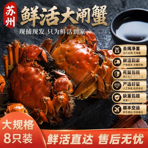 苏州阳澄精品大闸蟹鲜活螃蟹公4.5两可全母3.5两8只高端礼盒装