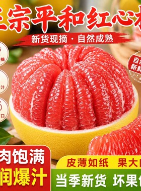 正宗平和福建头茬红心蜜柚当季柚子大果特大红肉红柚新鲜水果应季