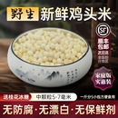 7mm 正宗新鲜苏州特产野生鸡头米芡实冷冻中颗粒5 2025年顺丰 包邮