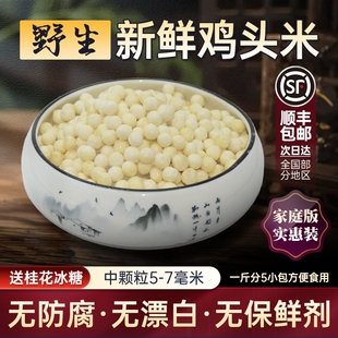 2025年顺丰包邮正宗新鲜苏州特产野生鸡头米芡实冷冻中颗粒5-7mm