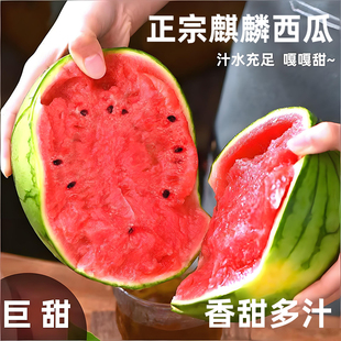 头茬麒麟西瓜当季新鲜水果现摘薄皮大西瓜沙瓤有籽甜西瓜