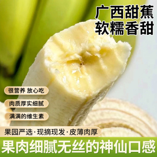 广西高山甜蕉新鲜水果香蕉产地直发青蕉发货