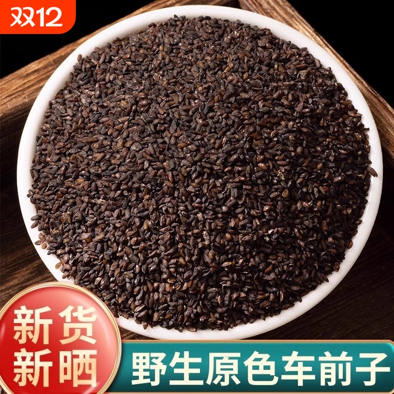 精选野生车前子中药材正品官方旗舰店洋车前子籽粉壳车前草泡茶水