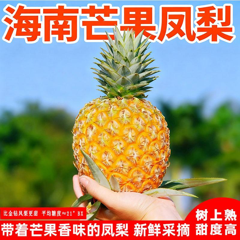 淡淡芒果香海南芒果凤梨新鲜采摘