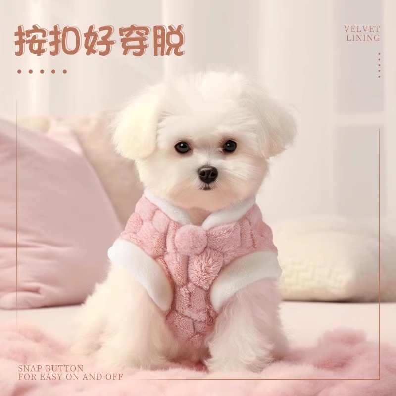 宠物狗狗衣服秋冬款2024新款小猫咪小型犬冬季雪纳瑞比熊泰迪背心