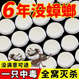 杀虫饵剂家用蟑螂药出租屋厨房卫生间蟑螂克星灭虫杀螂神器方便贴